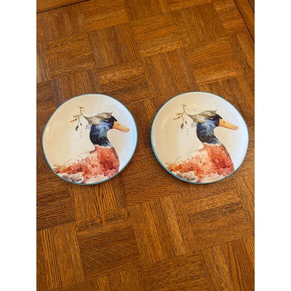 Retired Pier 1 farm animal plates set of 2 Ducks - Picture 1 of 6